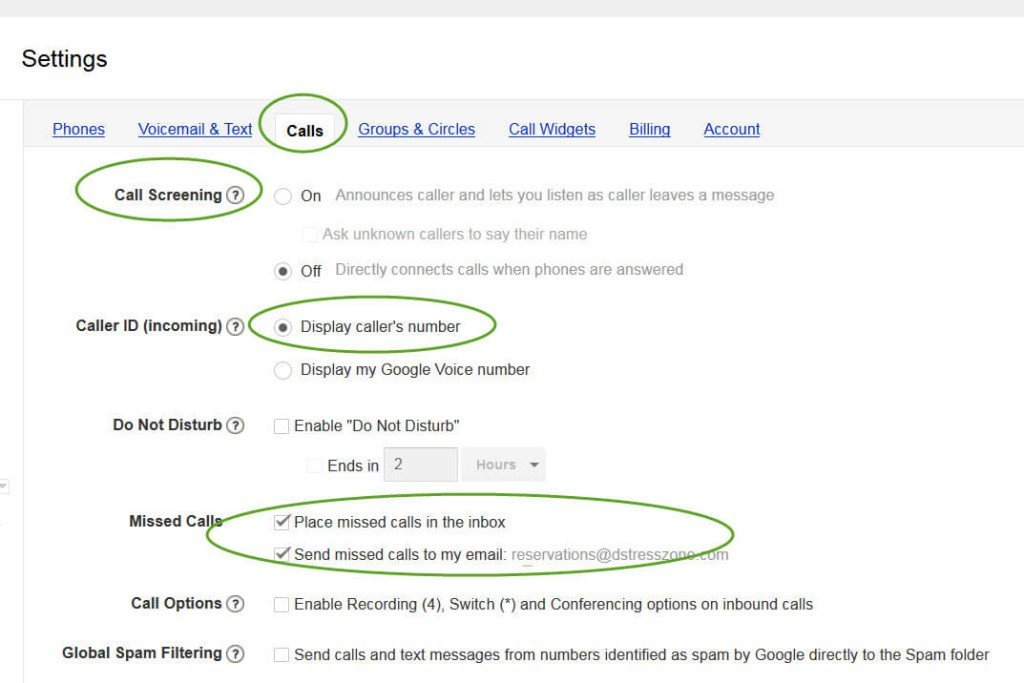 Set Up Google Voice For Your Massage Business: Calls Tab